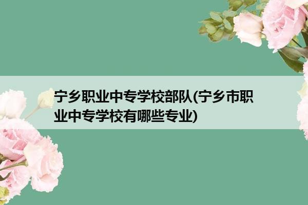 宁乡职业中专学校部队(宁乡市职业中专学校有哪些专业)